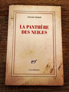 la panthère des neiges