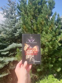 Bayard et le crime d Amboise