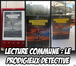 Le Prodigieux Détective